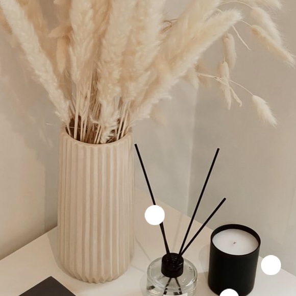 Pottery Barn Accents 5 Piece White Pampas Grass Poshmark